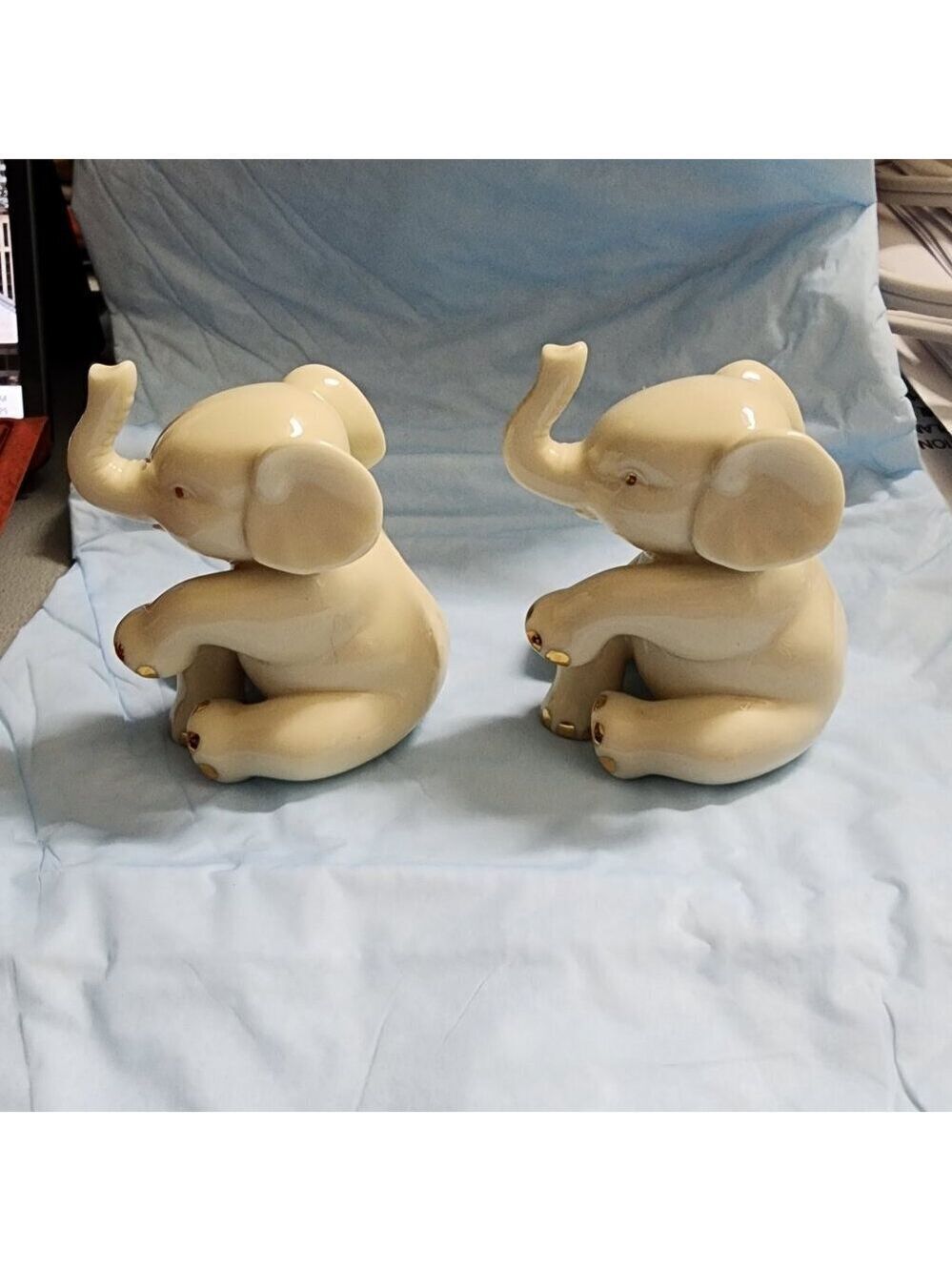 Elephants in Harmony: A Beautiful Duo